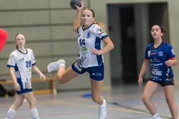 Bild 212 - wBJ HTS/BW96 Handball - Niendorfer TSV : Ergebnis: 27:27
